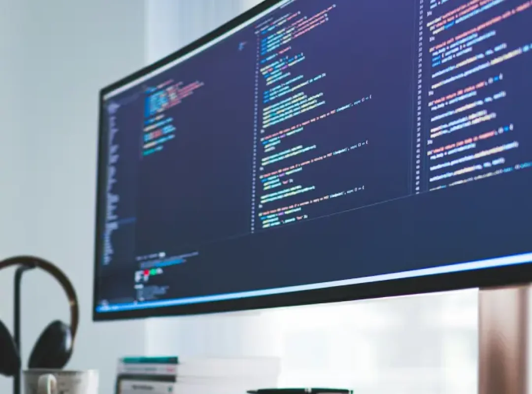 Software developer in delhi