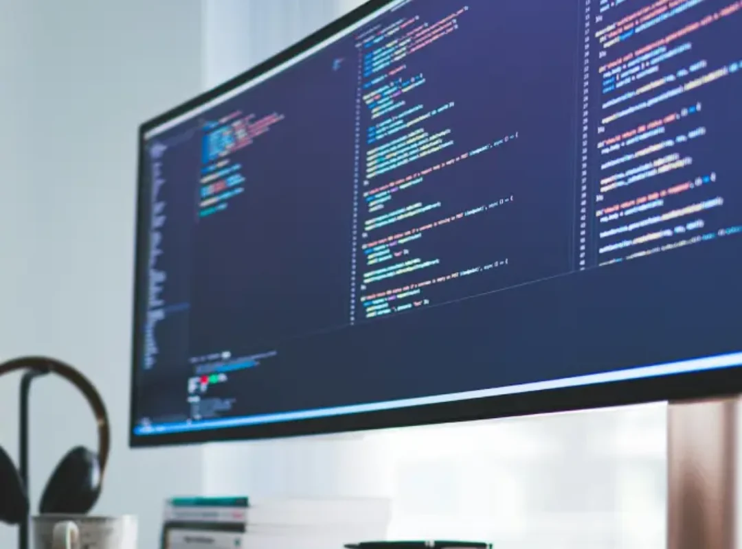Software developer in delhi